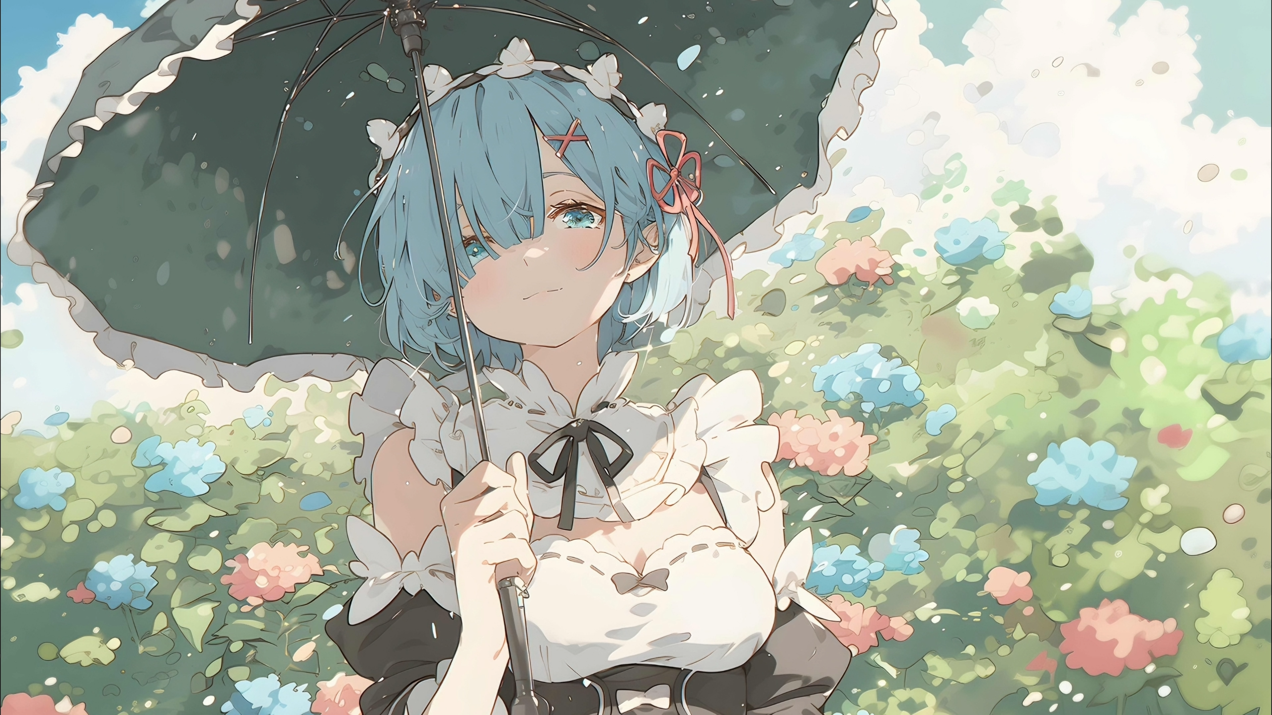 boxmoe_header_banner_img